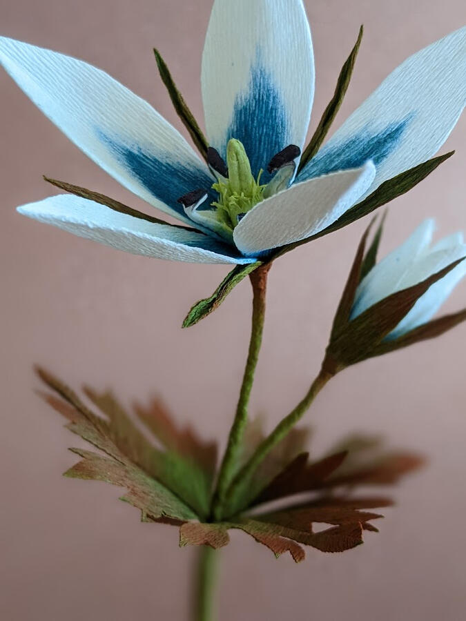 A blue and white crepe paper flower.