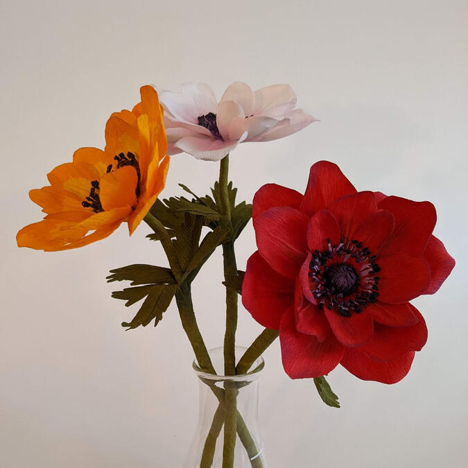 Three anemone flowers, one orange, one white, and one red.