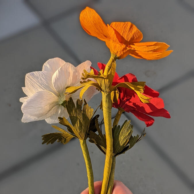 Back of windflowers (item 1) Three crepe paper windflowers.