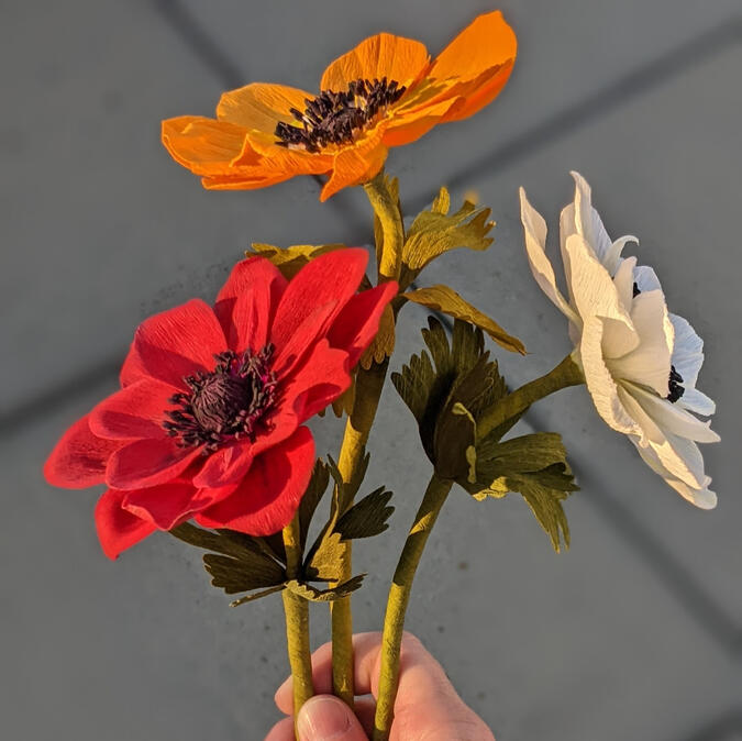 A hand holding three crepe paper windflowers.